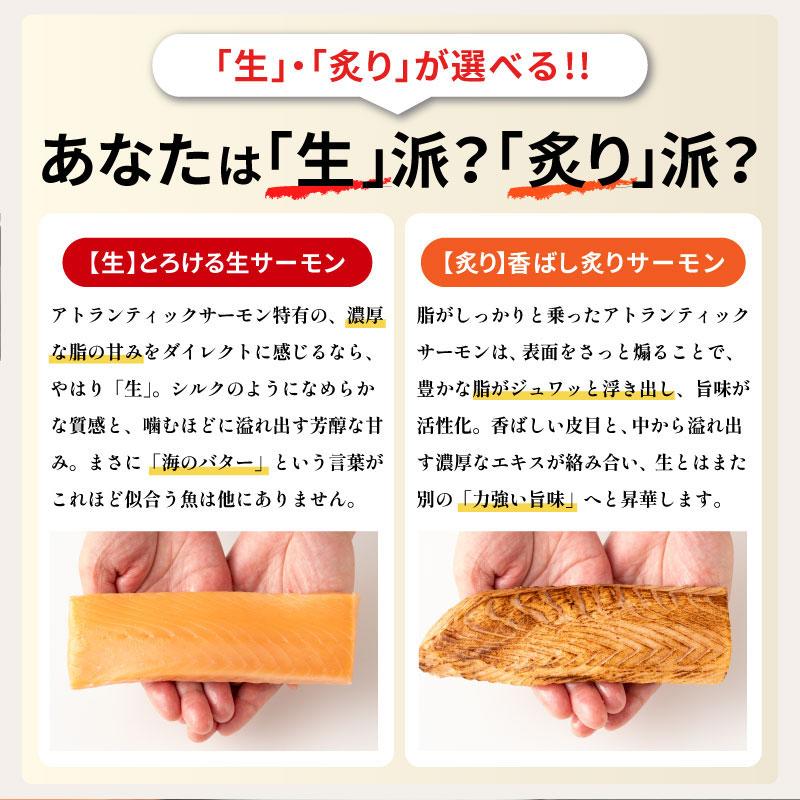 しおそう サーモン アトランティックサーモン 刺身 生と炙りが選べる
