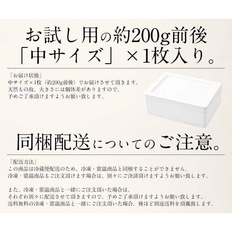 【同梱不可】 活アワビ アワビ 活 あわび 中サイズ 約200g（約200g×1枚） 天然 国産 福井県産 鮑 母の日 ギフト 父の日｜kaisenichibashioso｜09