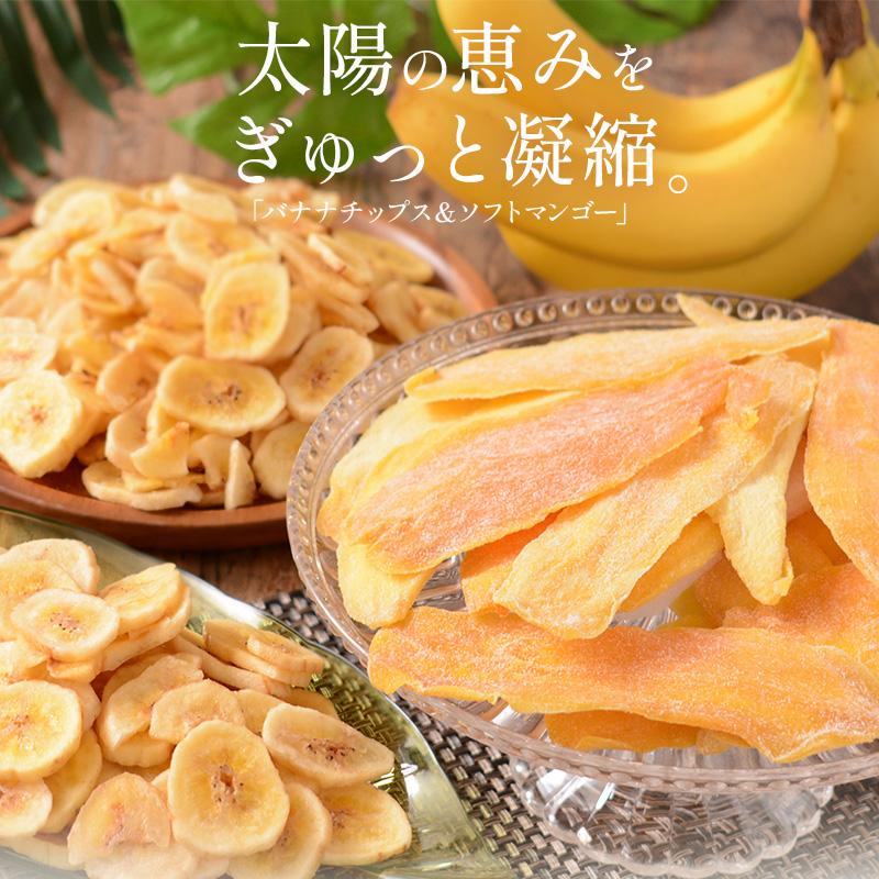 バナナチップス＆ソフトマンゴー 500g バナナチップス 300g ソフトマンゴー 200gドライフルーツ バナナ チップス マンゴー 香料不使用 お徳用   父の日｜kaisenichibashioso｜02