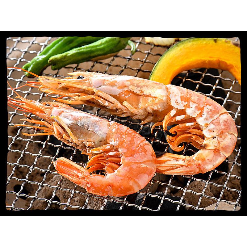 バーベキューセット 楽天市場】【期間限定P3倍！】 バーベキューセット 7種 BBQ 海鮮 肉