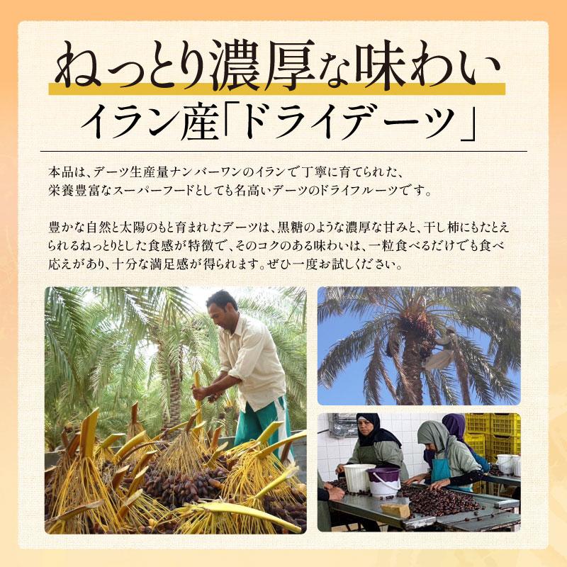 しおそう デーツ 種なし ドライデーツ 700g 無添加 無農薬 砂糖不使用