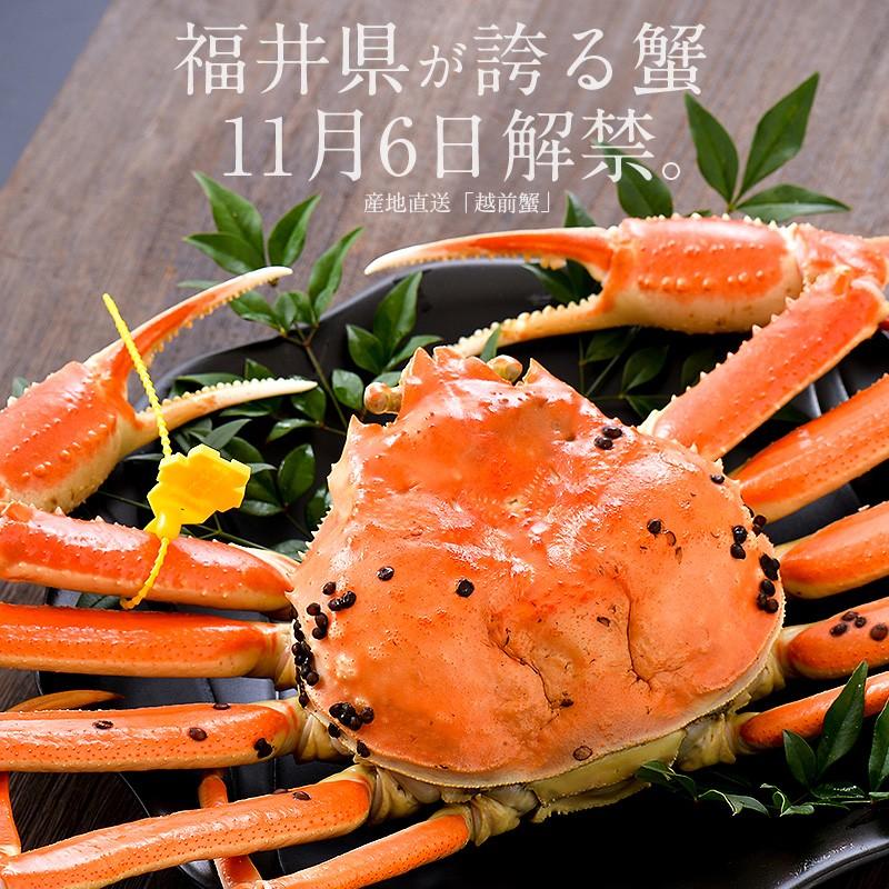 しおそう かに カニ 蟹 越前蟹 越前ガニ 越前かに 600g前後×1尾 大