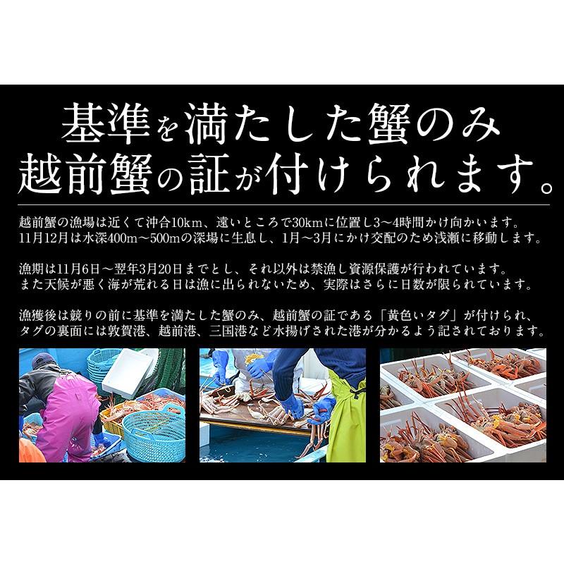 かに カニ 蟹 越前産ズワイガニ 甲羅盛り 中サイズ×3個（甲羅横幅 約11cm）越前産 ずわい蟹 ずわい甲羅盛り   ギフト 父の日｜kaisenichibashioso｜04