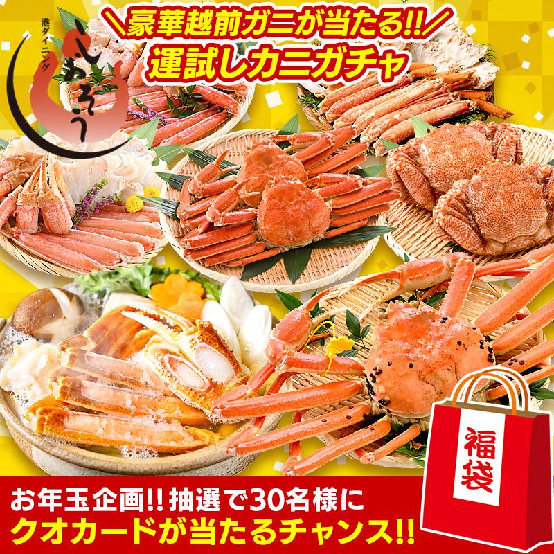 越前ガニが当たる！早い者勝ち1,000円OFFクーポン付き！ カニガチャ カニ福袋 かに カニ 蟹 福袋 運試し ずわいがに ズワイ蟹 カニポーション | しおそう