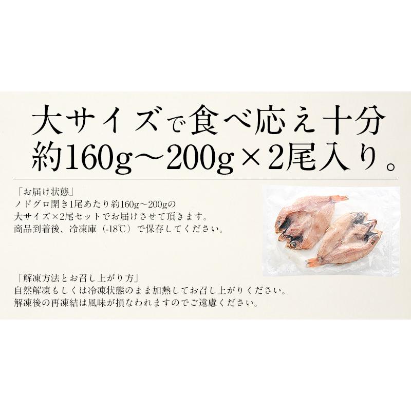 のどぐろ 干物 一夜干し 浜田 約160〜200g×2尾 大サイズ 約22cm 島根県産 ノドグロ 干物セット 詰め合わせ   ギフト 父の日｜kaisenichibashioso｜08