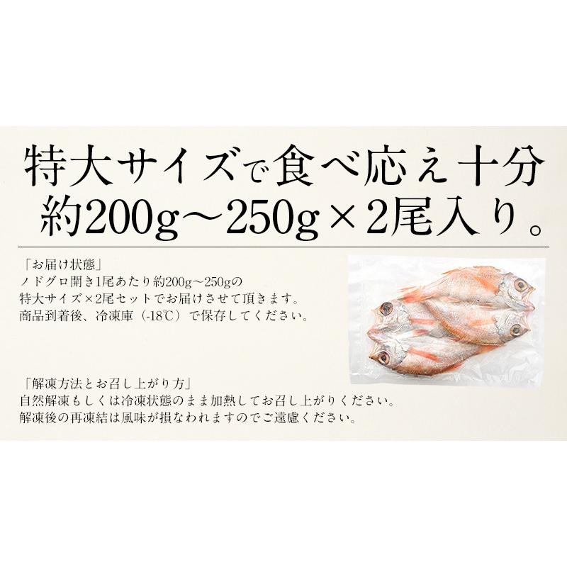 のどぐろ 干物 一夜干し 浜田 約200〜250g×2尾 特大サイズ 約24cm 島根県産 ノドグロ 干物セット 詰め合わせ   ギフト 父の日｜kaisenichibashioso｜08