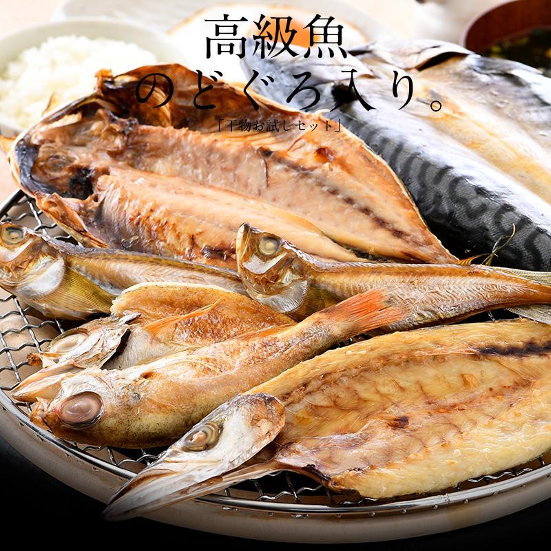 干物 初回限定 お試しセット 詰め合わせ 5種 干物セット のどぐろ カマス アジ サバ ハタハタ 一夜干し 港ダイニングしおそう 通販 Paypayモール
