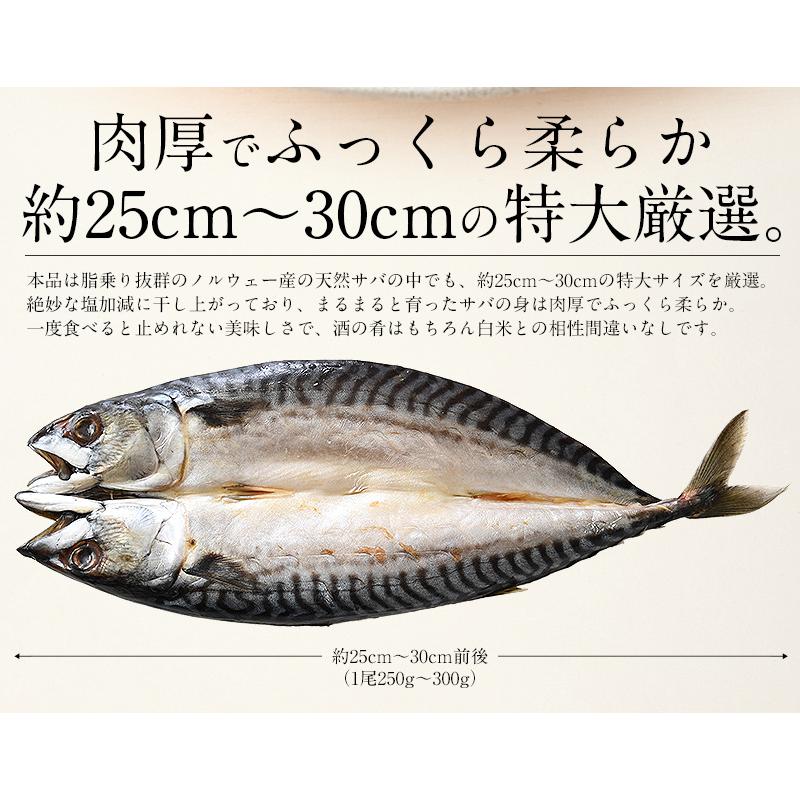 干物 さば サバ 鯖 特大サイズ 約250〜300g×3尾 干物 詰め合わせ   ギフト 父の日｜kaisenichibashioso｜03