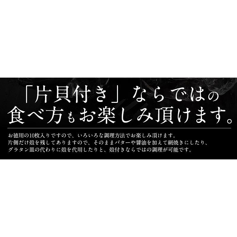 ホタテ ほたて 殻付き 10枚 北海道産 片貝 帆立 母の日 ギフト｜kaisenichibashioso｜05