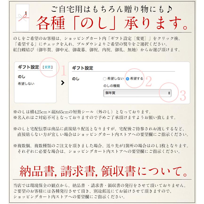 イカそうめん 450g（10枚入） いかそうめん 烏賊 日本海産 いかそうめん 冷凍 烏賊 いか スルメイカ 国産 するめいか スルメ イカソーメン   ギフト 父の日｜kaisenichibashioso｜12