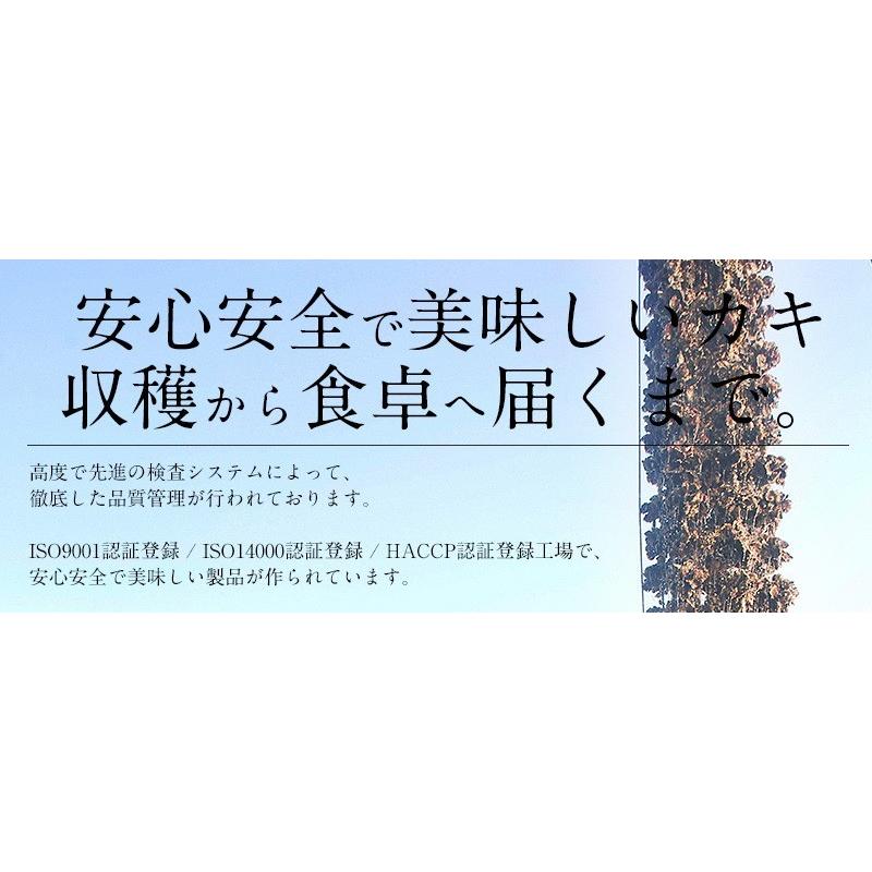 カキ かき 牡蠣 剥き身 1kg（解凍後850g/大粒Lサイズ/約40粒前後） 広島県産   ギフト 父の日｜kaisenichibashioso｜06