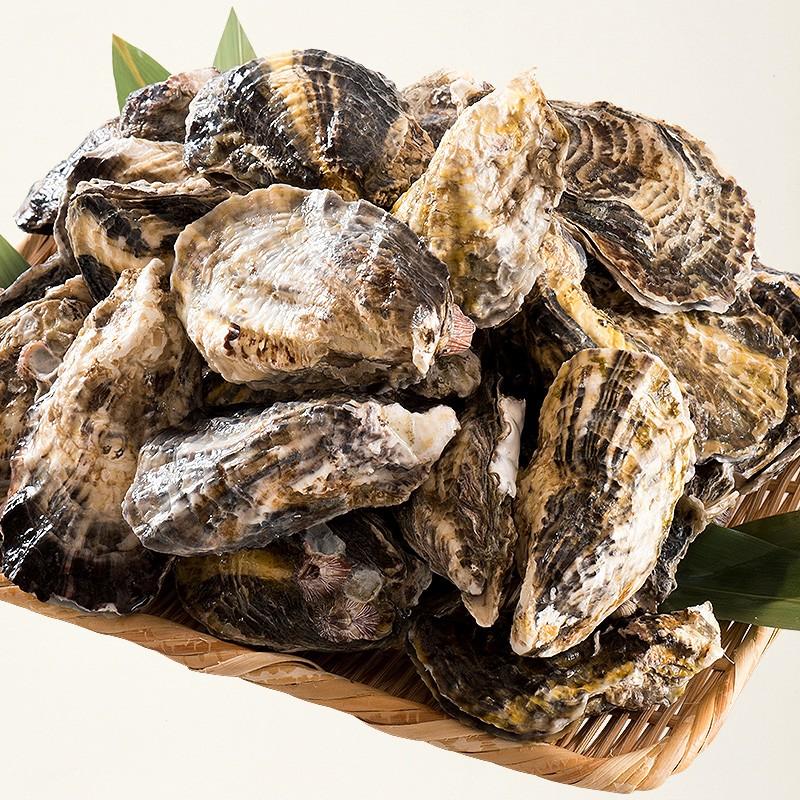 カキ 牡蠣 一斗缶 缶焼き かき 3kg(殻付き 約32〜42個) カンカン焼き 軍手 ナイフ付き :kanyakikaki-3000:港ダイニングしおそう - 通販 - Yahoo!ショッピング カキ 牡蠣 一斗缶 缶焼き かき 3kg(殻付き 約32〜42個) カンカン焼き 軍手 ナイフ付き :kanyakikaki-3000:港ダイニングしおそう - 通販 - Yahoo!ショッピング