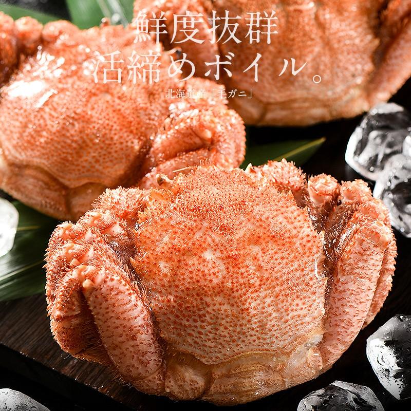 しおそう かに カニ 蟹 毛蟹 毛がに 毛ガニ 400g前後×1尾 北海道産 父  