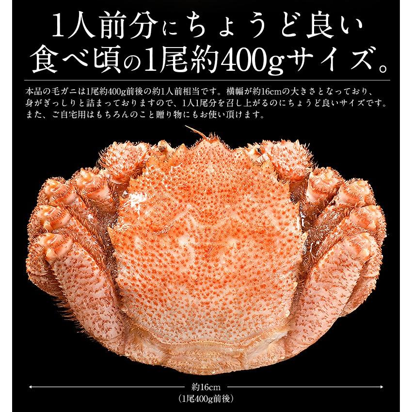 しおそう かに カニ 蟹 毛蟹 毛がに 毛ガニ 400g前後×1尾 北海道産