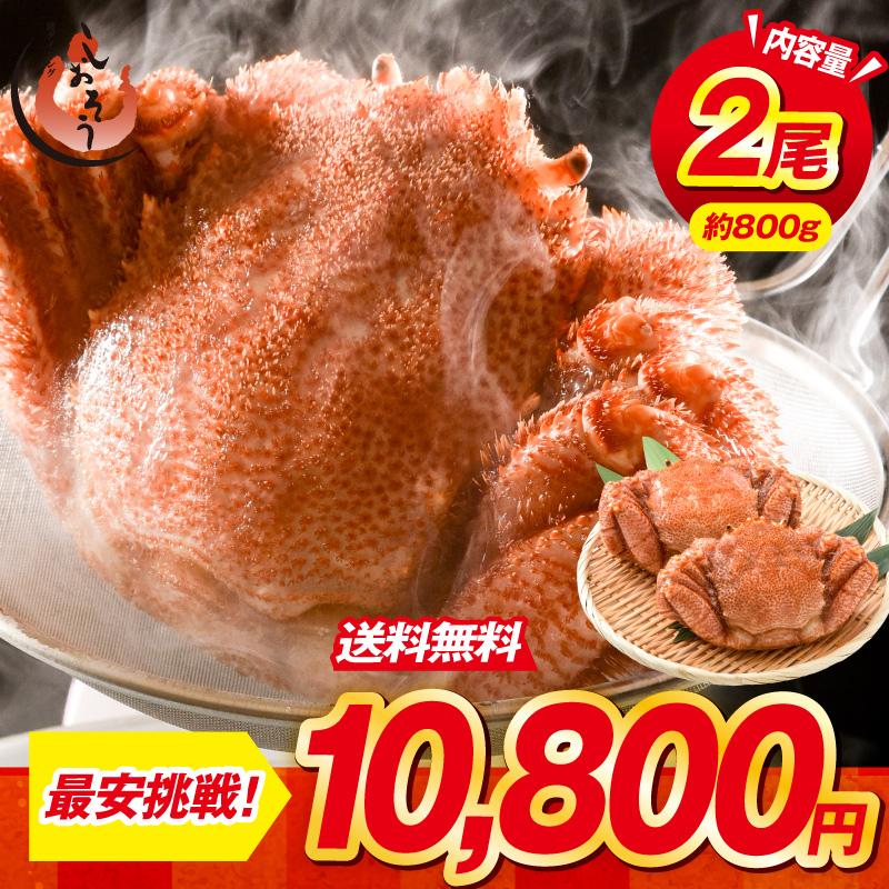 毛ガニ歩き しおそう かに カニ 蟹 毛蟹 毛がに 毛ガニ 400g前後×2尾 北海道産 父