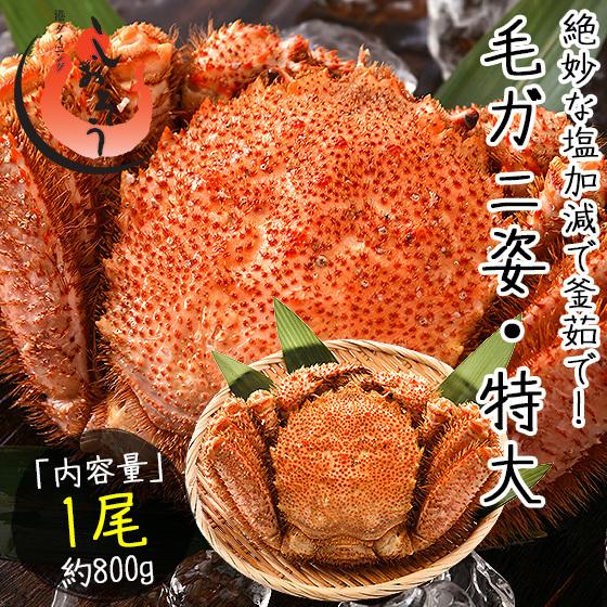 かに カニ 蟹 毛蟹 毛がに 毛ガニ 800g前後×1尾 北海道産 母の日 ギフト 父の日｜kaisenichibashioso