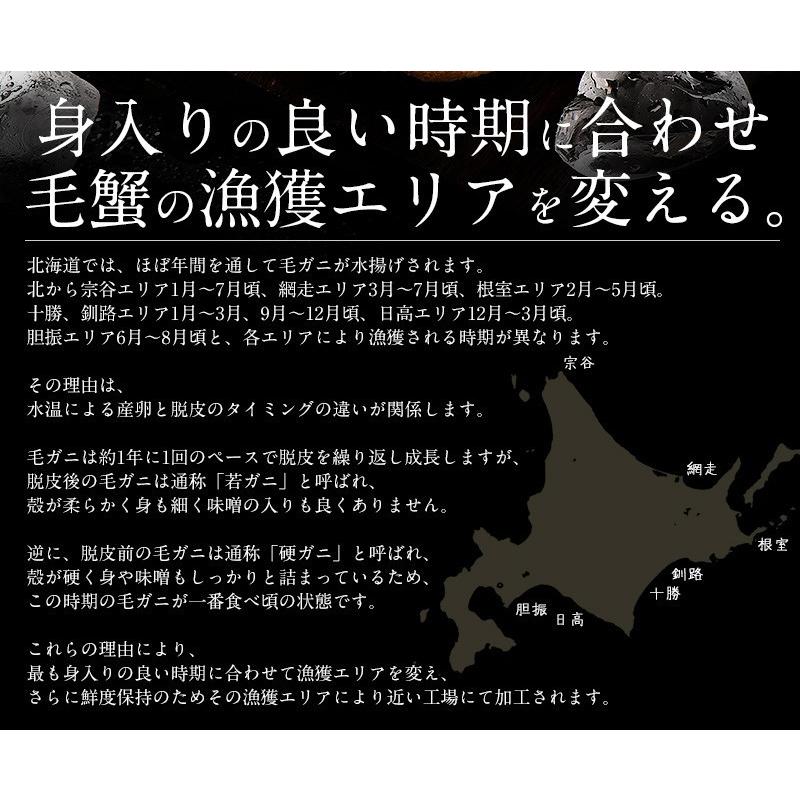 かに カニ 蟹 毛蟹 毛がに 毛ガニ 800g前後×1尾 北海道産 母の日 ギフト 父の日｜kaisenichibashioso｜03