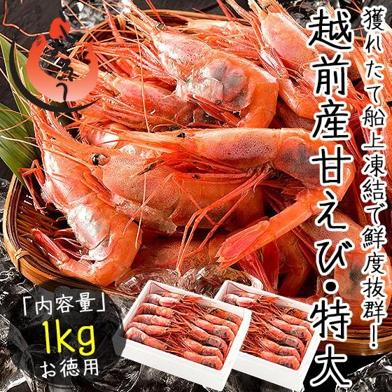 甘エビ 甘えび 子持ち 特大サイズ 1kg 500g 2箱 約60尾入り 刺身用 越前産 港ダイニングしおそう 通販 Paypayモール