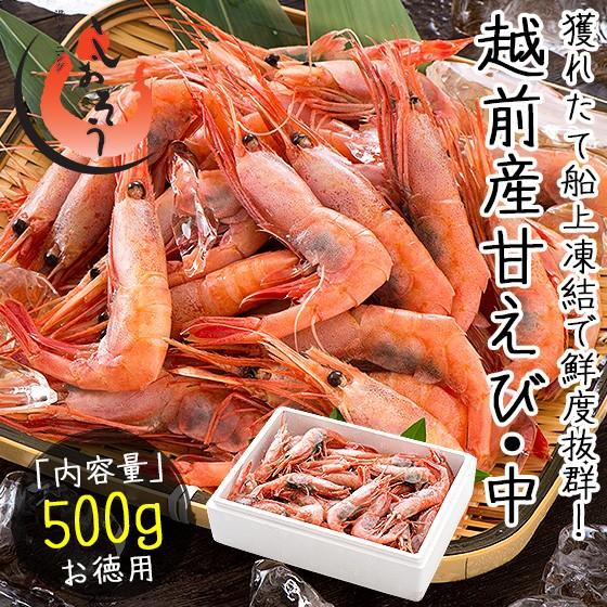 甘エビ 甘えび 子持ち 中サイズ 500g 約40尾入り 刺身用 越前産 港ダイニングしおそう 通販 Paypayモール