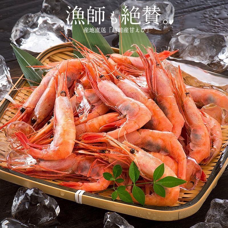 甘エビ 甘えび 子持ち 中サイズ 500g 約40尾入り 刺身用 越前産 港ダイニングしおそう 通販 Paypayモール