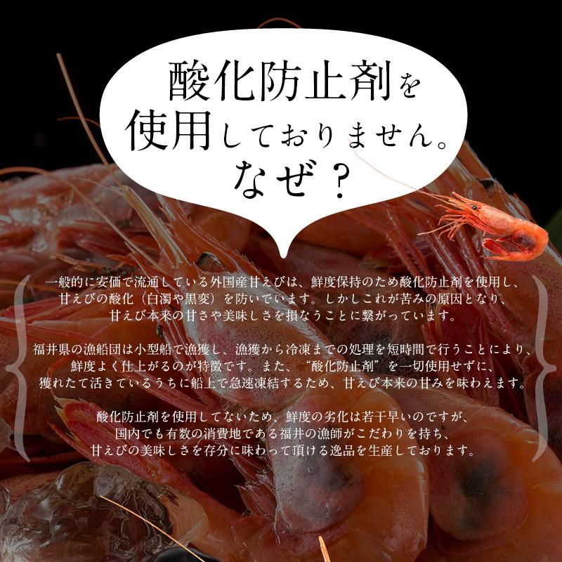スピード対応 全国送料無料 甘エビ 甘えび 子持ち 中サイズ 500g 約40尾入り 刺身用 越前産 Wantannas Go Id