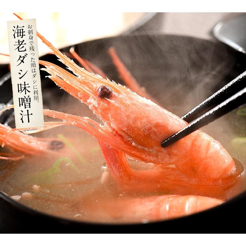 甘エビ 甘えび 子持ち 中サイズ 500g (約40尾入り)刺身用 越前産 甘えび 海老 えび エビ 贈り物 お祝い プレゼント ギフト :komotiamaebi-m-500:港ダイニングしおそう - 通販 - Yahoo!ショッピング 甘エビ 甘えび 子持ち 中サイズ 500g (約40尾入り)刺身用 越前産 甘えび 海老 えび エビ 贈り物 お祝い プレゼント ギフト :komotiamaebi-m-500:港ダイニングしおそう - 通販 - Yahoo!ショッピング