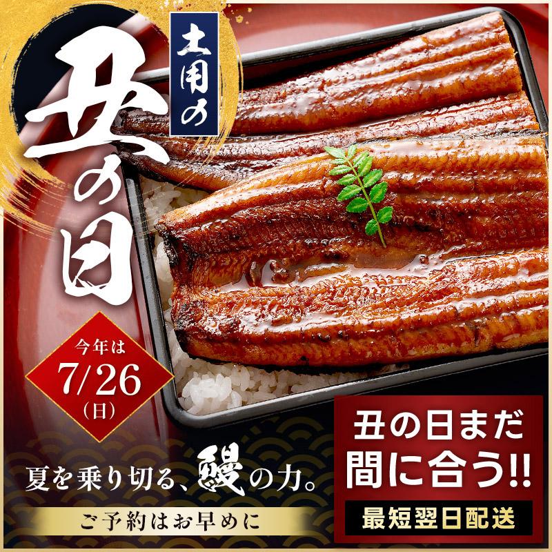 しおそう 土用の丑の日 まだ間に合う！ うなぎ 蒲焼き 165g前後 白焼き