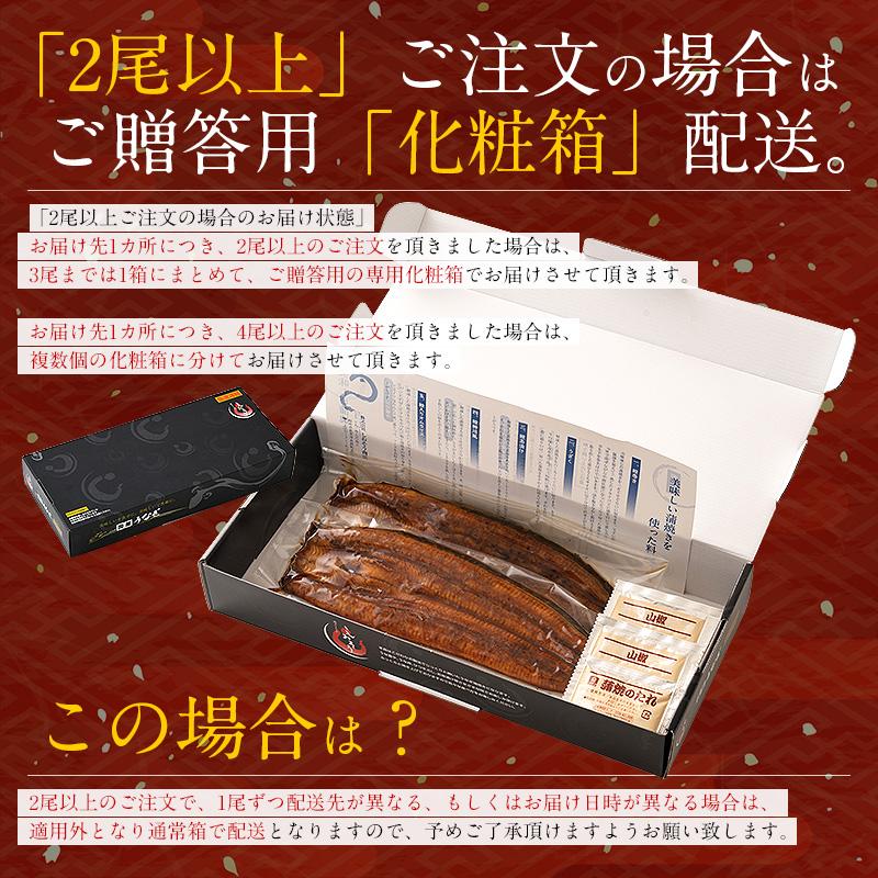 鰻 うなぎ 蒲焼き 国産 無頭 大サイズ 160g前後×1尾 ウナギ うなぎ蒲焼 贈り物 グルメ プレゼント 母の日 ギフト 父の日｜kaisenichibashioso｜18