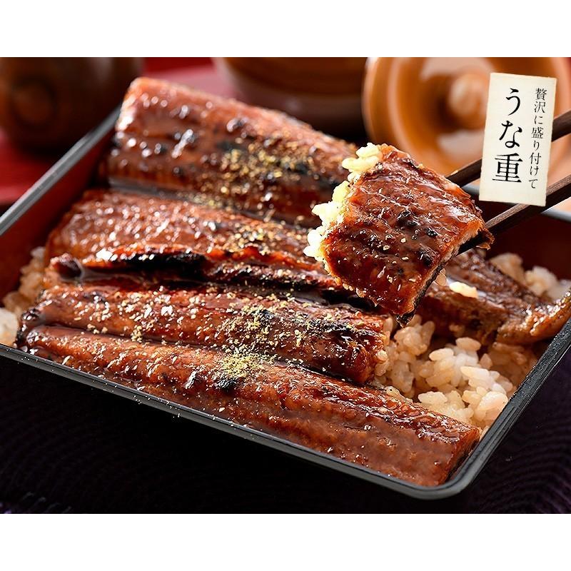 うなぎ 蒲焼き 国産 無頭 鹿児島県産 大サイズ 165g前後×2尾 ウナギ 鰻 うなぎ 蒲焼き 国産 無頭 鹿児島県産 大サイズ 165g前後×2尾 ウナギ 鰻