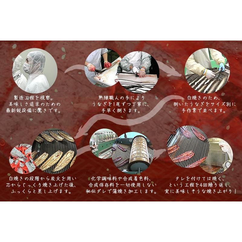 うなぎ 蒲焼き 国産 無頭 鹿児島県産 特大サイズ 約200g×3尾 ウナギ 鰻 うなぎ蒲焼 贈り物 ギフト グルメ プレゼント :mutou-unagi-kabayaki-200-3:港ダイニングしおそう - 通販 - Yahoo!ショッピング うなぎ 蒲焼き 国産 無頭 鹿児島県産 特大サイズ 約200g×3尾 ウナギ 鰻 うなぎ蒲焼 贈り物 ギフト グルメ プレゼント :mutou-unagi-kabayaki-200-3:港ダイニングしおそう - 通販 - Yahoo!ショッピング