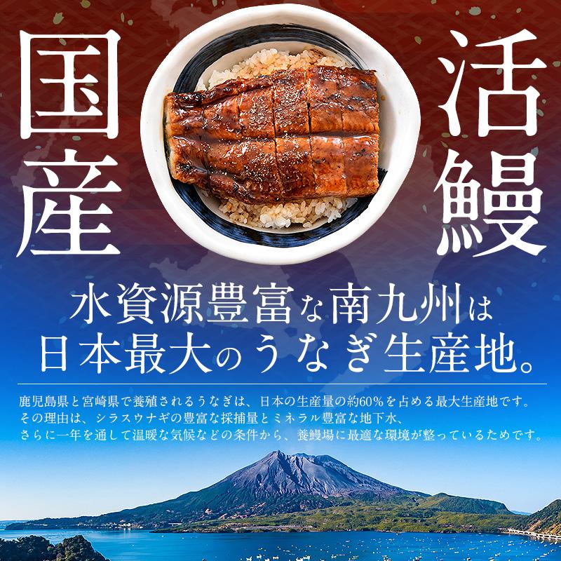 うなぎ 蒲焼き 国産 無頭 中サイズ 142g前後×2尾 ウナギ 鰻 化粧箱 うなぎ蒲焼 贈り物 母の日 ギフト 父の日｜kaisenichibashioso｜05