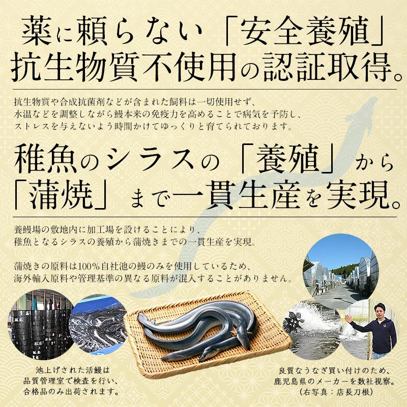 うなぎ 蒲焼き 国産 無頭 中サイズ 142g前後×2尾 ウナギ 鰻 化粧箱 うなぎ蒲焼 贈り物 母の日 ギフト 父の日｜kaisenichibashioso｜06