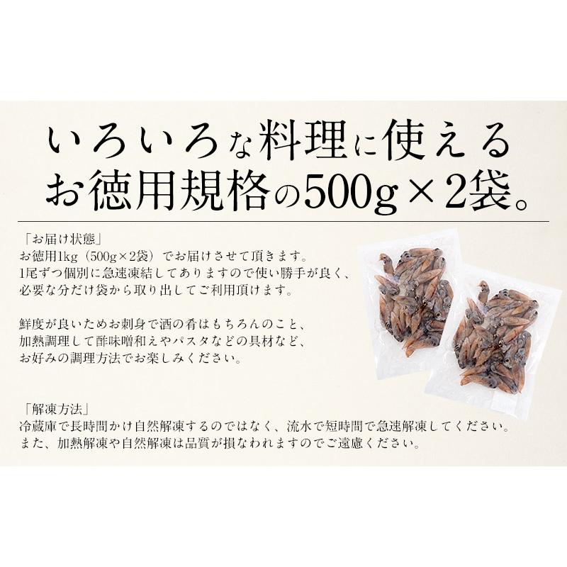 ホタルイカ 生食用 ほたるいか 1kg（500g×2袋） 母の日 ギフト 父の日｜kaisenichibashioso｜08