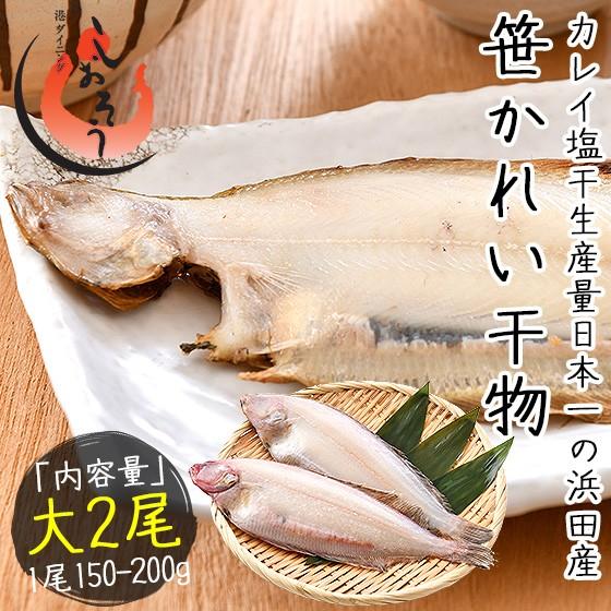 新作入荷 新品 笹カレイ 一夜干し かれい カレイ 干物 浜田 約150