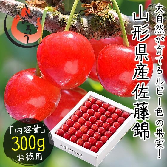 佐藤錦 さくらんぼ 贈答用 サクランボ 特秀 Lサイズ 300g 山形県 佐藤錦 さくらんぼ 贈答用 サクランボ 特秀 Lサイズ 300g 山形県