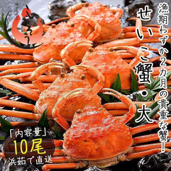 セイコガニ せいこがに せいこ蟹 大サイズ×10尾 福井 越前松葉 （着日指定不可） 冬グルメ 冬ギフト
