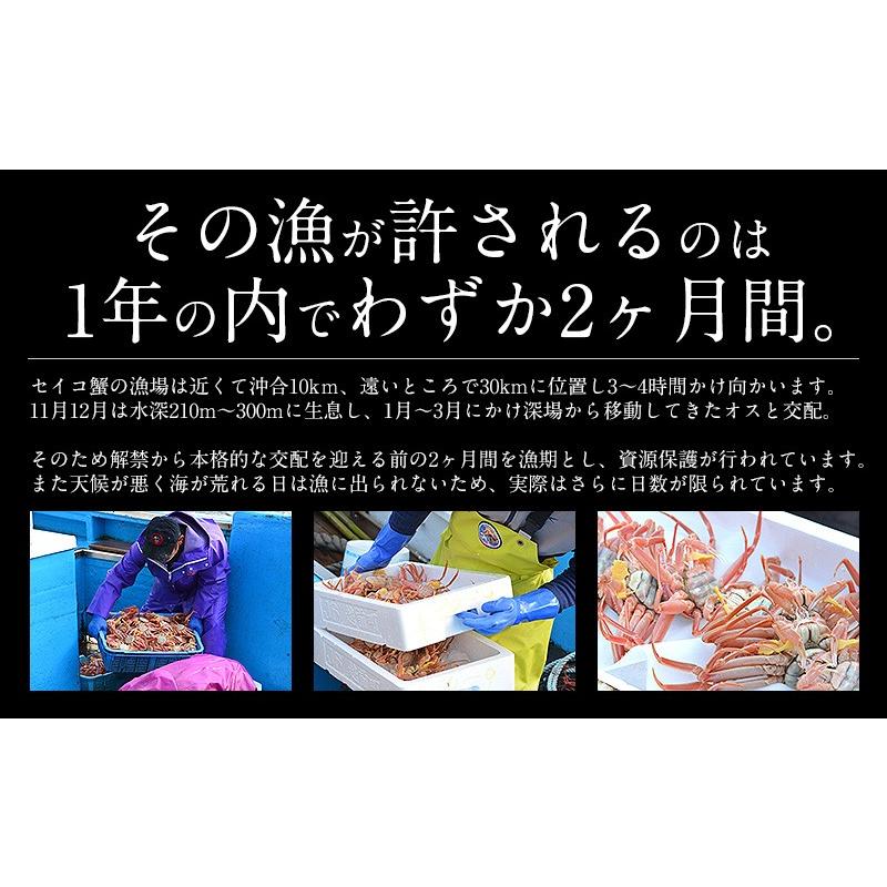 せいこがに セイコガニ せいこ蟹 小サイズ×5尾 福井 越前松葉 （着日指定不可） かに 蟹 カニ 海鮮 母の日 ギフト 父の日｜kaisenichibashioso｜08