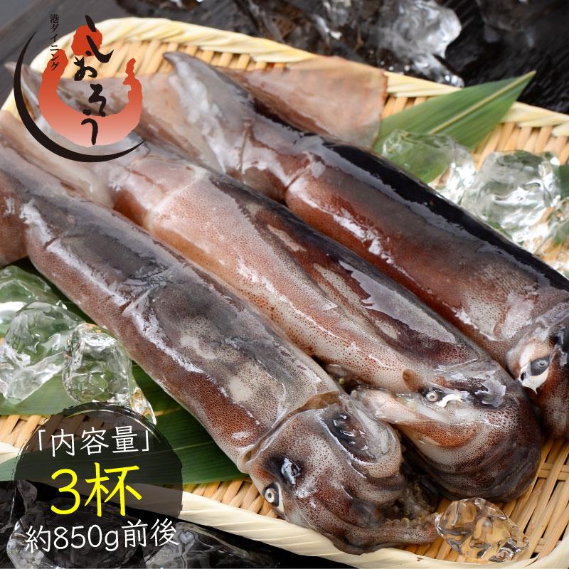 いか イカ 生 するめいか 3杯 約850g前後 日本海産 スルメイカ 冷凍 港ダイニングしおそう 通販 Paypayモール