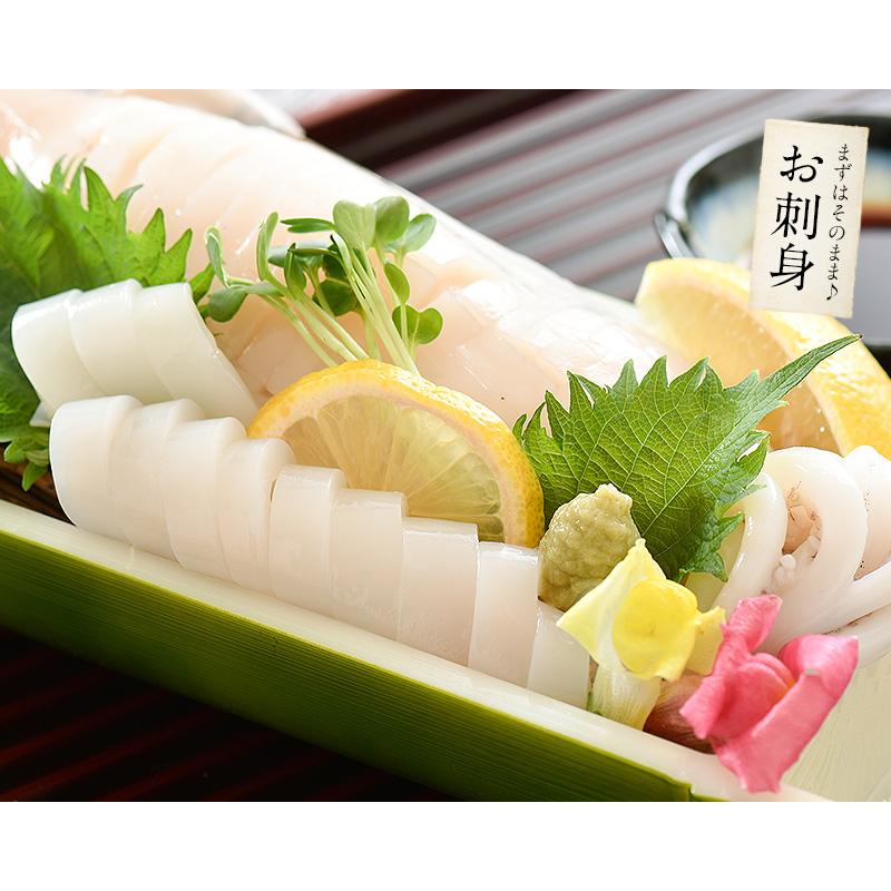 いか イカ 生 するめいか 3杯 約850g前後 日本海産 スルメイカ 冷凍いか スルメ 冷凍イカ 刺身用 美味しい 刺身 刺し身 海鮮 ギフト 贈り物 食品 食べ物 Surumeika 3 港ダイニングしおそう 通販 Yahoo ショッピング