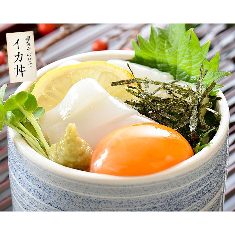 いか イカ 生 するめいか 3杯 約850g前後 日本海産 スルメイカ 冷凍いか スルメ 冷凍イカ 刺身用 美味しい 刺身 刺し身 海鮮 ギフト 贈り物 食品 食べ物 Surumeika 3 港ダイニングしおそう 通販 Yahoo ショッピング