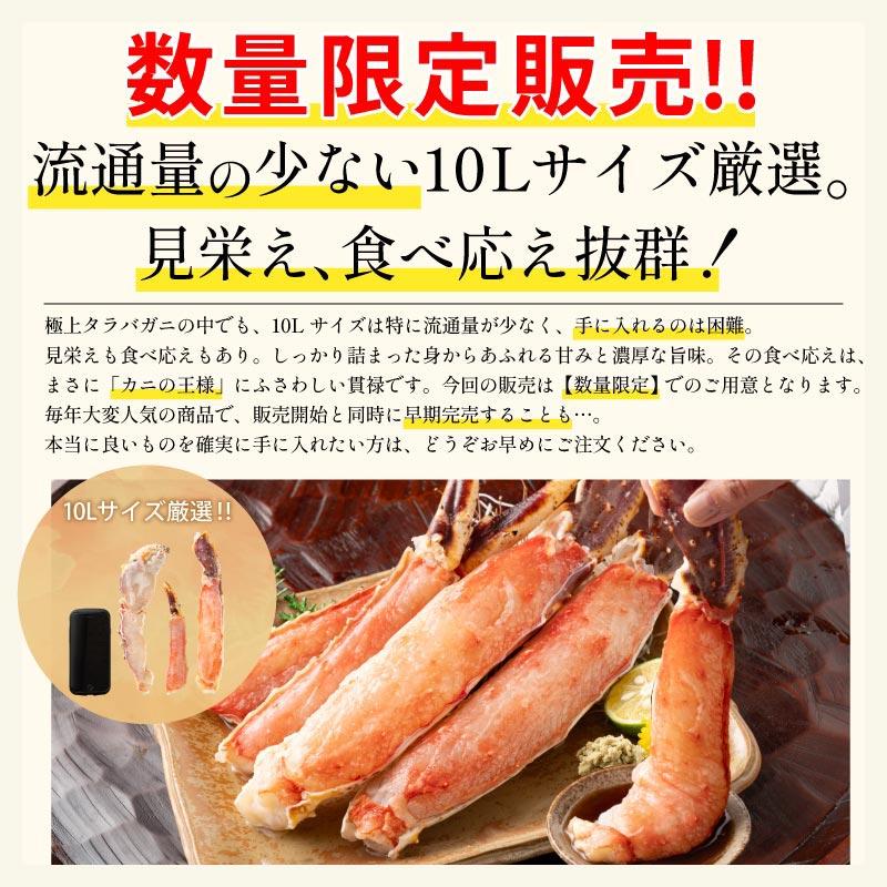 即日発送　天然　43cm 鹿児島産　加熱式タバコ　巨大ホラ貝型カバー　ワンオフ 即日発送 天然 43cm 鹿児島産 加熱式タバコ 巨大ホラ貝型カバー