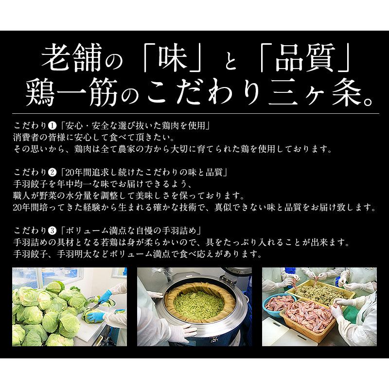 手羽餃子 手羽先 10本/450g（手羽餃子,手羽明太,手羽チーズから選択）   ギフト 父の日｜kaisenichibashioso｜07