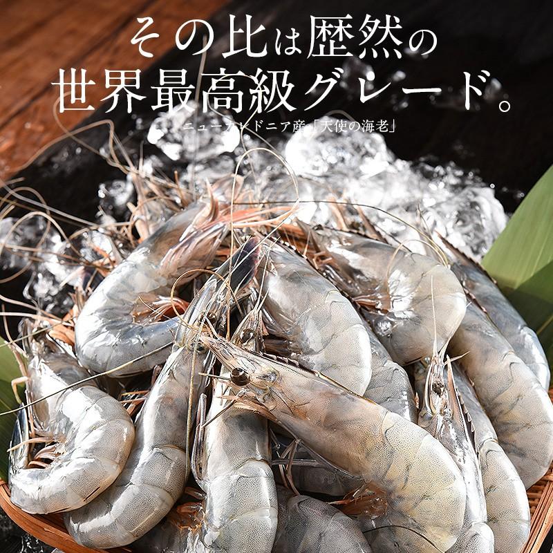 しおそう 天使の海老 1kg （約20〜30尾入り）えび エビ 海老 父の日