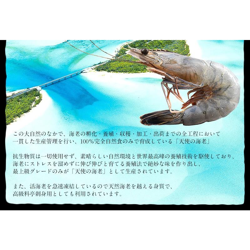 しおそう 天使の海老 1kg （約20〜30尾入り）えび エビ 海老 爆買