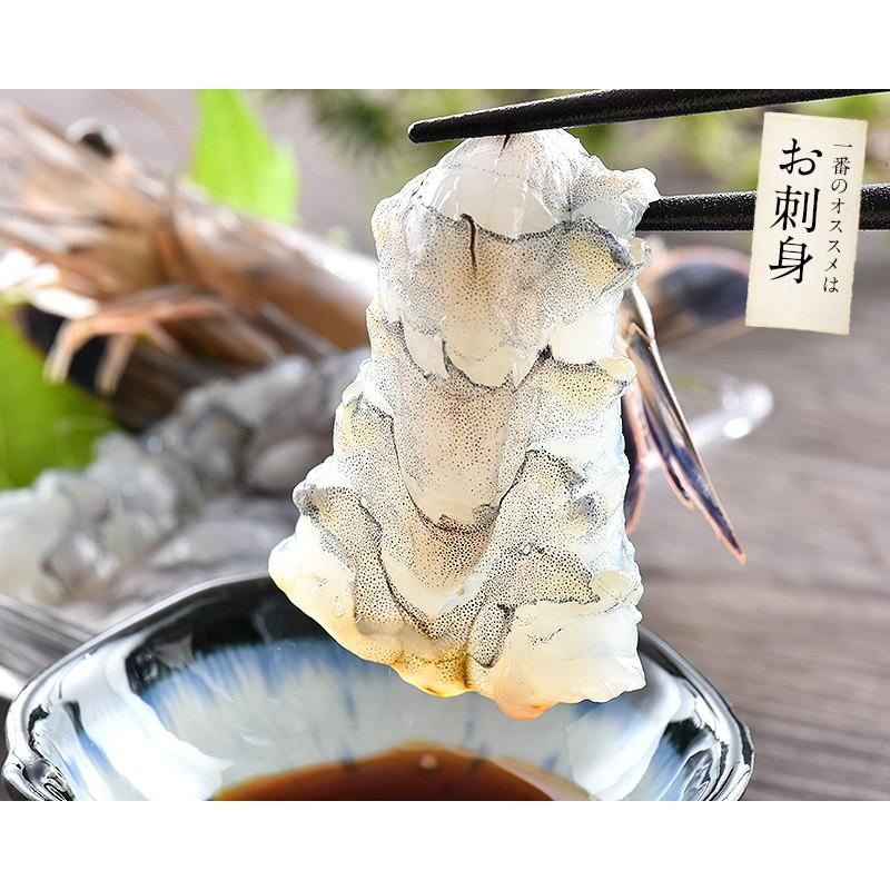 しおそう 天使の海老 1kg （約20〜30尾入り）えび エビ 海老 父の日
