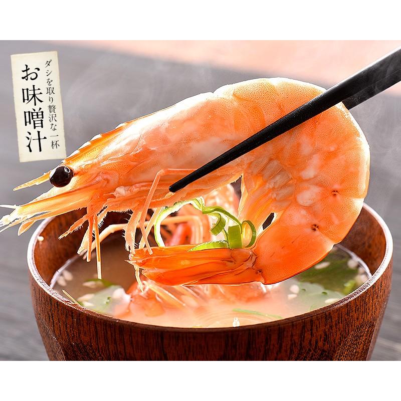しおそう 天使の海老 1kg （約20〜30尾入り）えび エビ 海老 爆買
