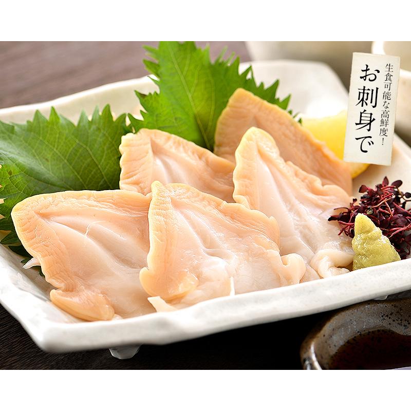 つぶ貝 ツブ貝 粒貝 つぶ貝開き 500g バイ貝 ばい貝 特大サイズ 刺身   ギフト 父の日｜kaisenichibashioso｜05