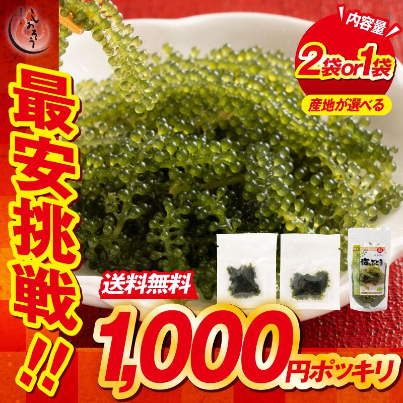 海ぶどう 5倍に膨らむ 無添加 無着色 2食入り(タレ付き） 種類が選べる 海ブドウ 海藻 お取り寄せ 贈り物 おつまみ ギフト ネコポス 送料無料 母の日 父の日（Yahoo!・港ダイニングしおそう）