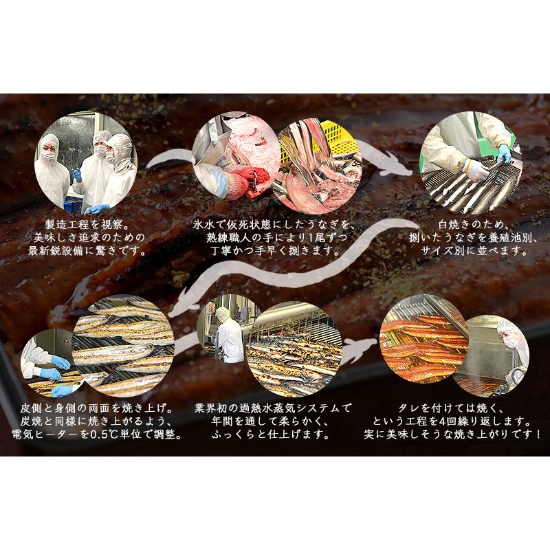 うなぎ 蒲焼き 国産 ひつまぶし 刻み 80g×1袋 きざみうなぎ ウナギ 鰻 母の日 ギフト 父の日｜kaisenichibashioso｜06