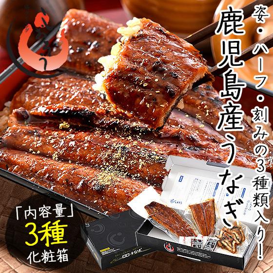 うなぎ 発売モデル 父の日 蒲焼き 国産 鹿児島県産 3種セット 刻みうなぎ50g ハーフカット約80g 鰻 ウナギ 無頭165g前後 1尾